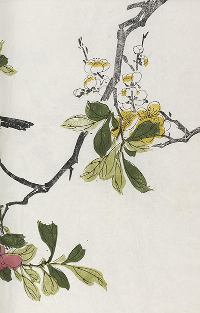 《芥子园画传》三集六卷日本彩色套印本