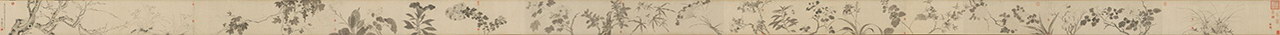 花卉图卷 | 明代/陈粲