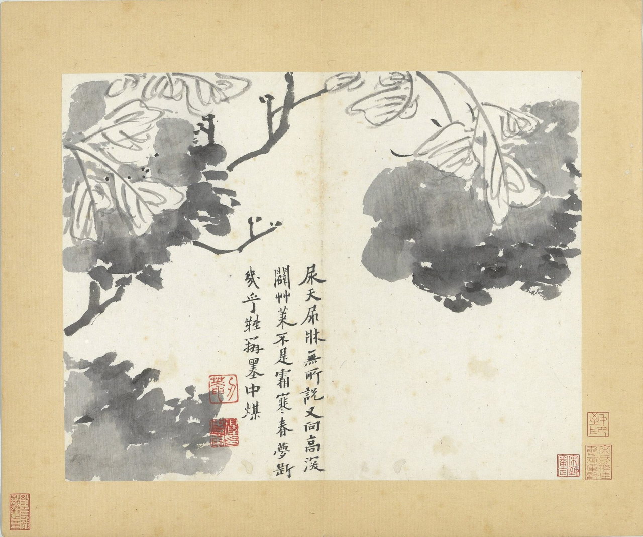 释传綮写生册 | 清代/朱耷