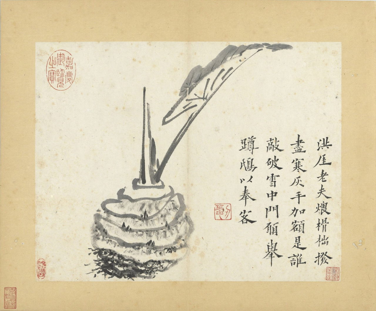 释传綮写生册 | 清代/朱耷